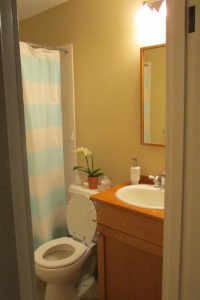 Updated Bathroom